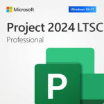 Microsoft Project LTSC 2024 Professional