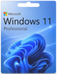 Windows 11 Professional